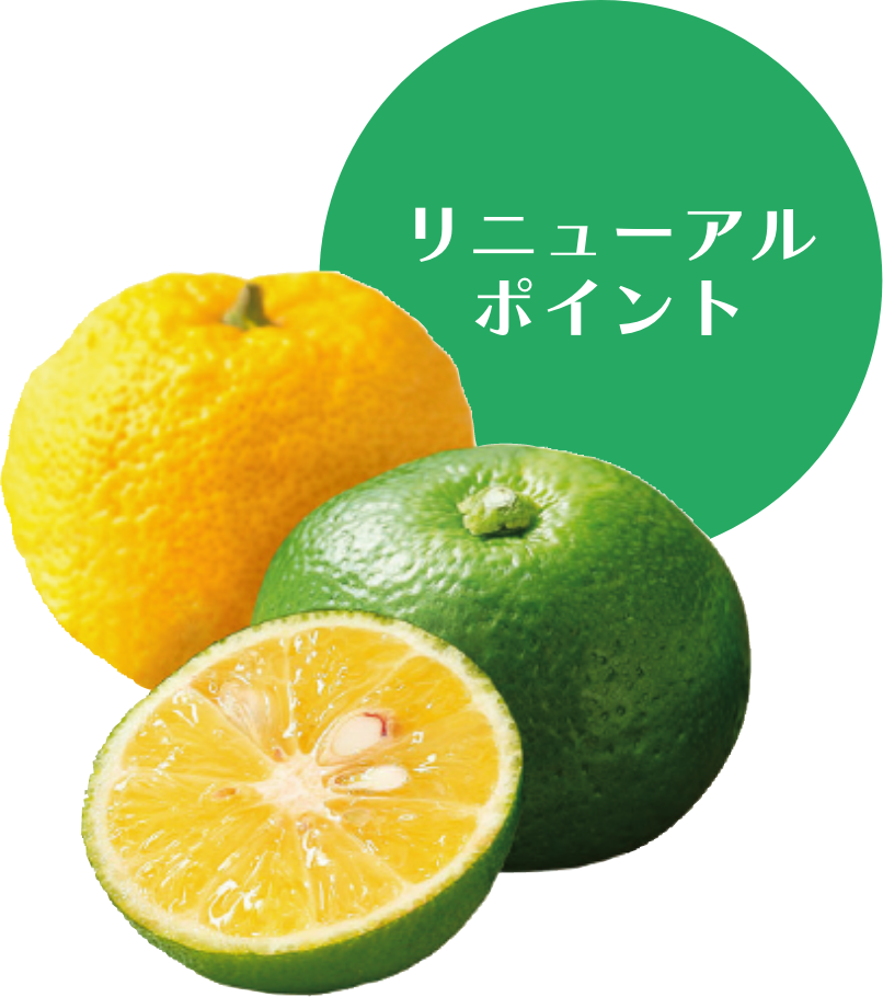 リニューアルポイント