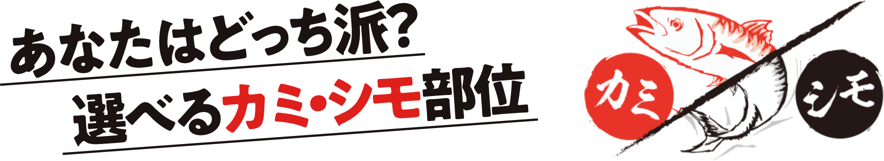 あなたはどっち派？ 選べる「カミ」「シモ」