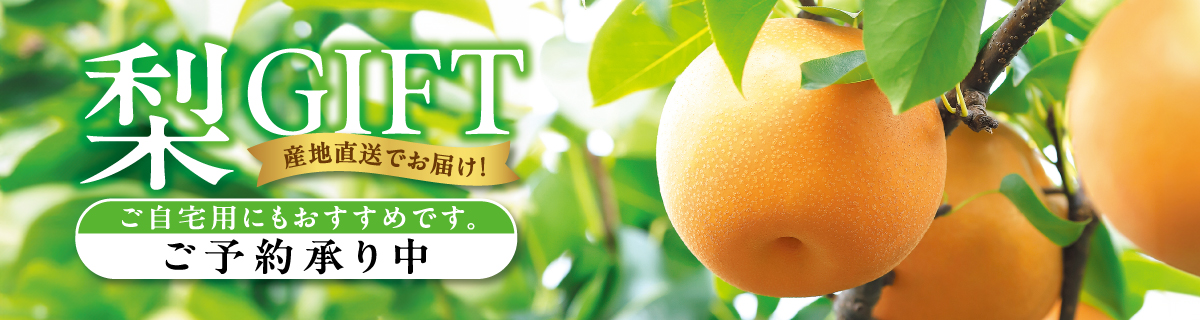 梨ギフト　ご予約承り中