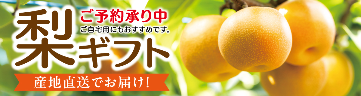 梨ギフト　ご予約承り中