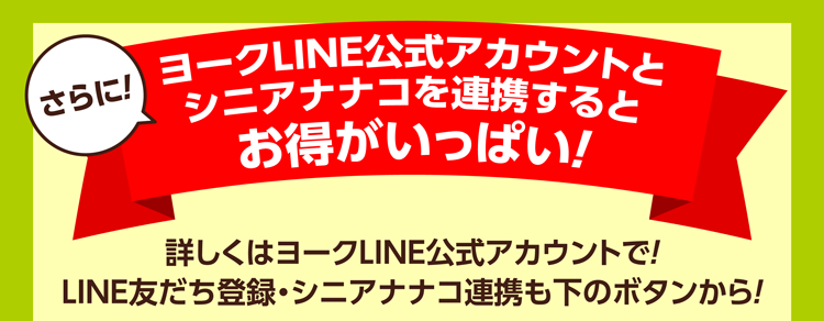 1月のシニア割引のご案内 | ヨークマート・ヨークフーズ・ヨークプライス